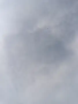 Rubi12A's cam snapshot