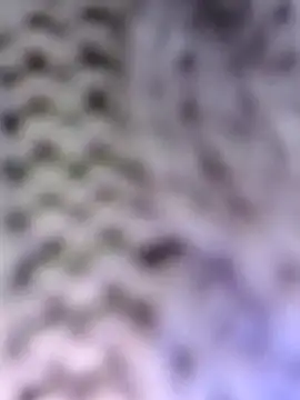 Hot-Sana2's cam snapshot