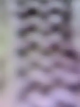 Hot-Sana2's cam snapshot