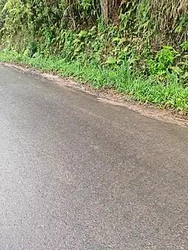 DICKLANKA's cam snapshot