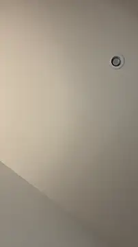 MichelleFerry_ live sex cam