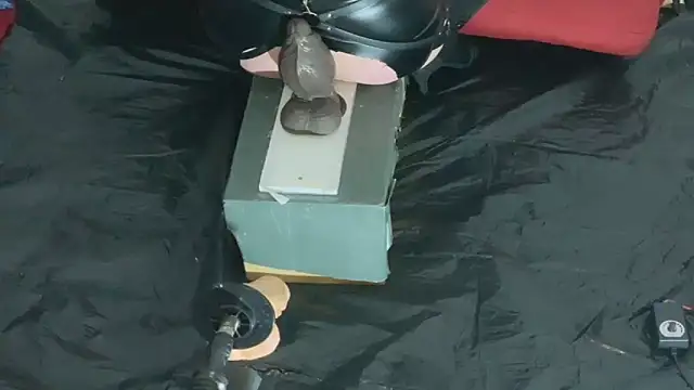 Nebenangeil's cam snapshot