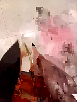 Ori-Lynk's cam snapshot