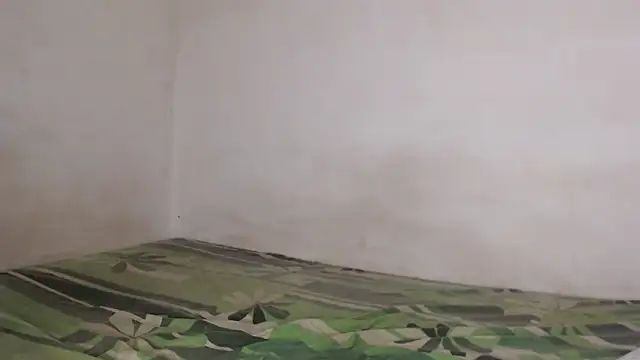 Majo_BigTits's cam snapshot