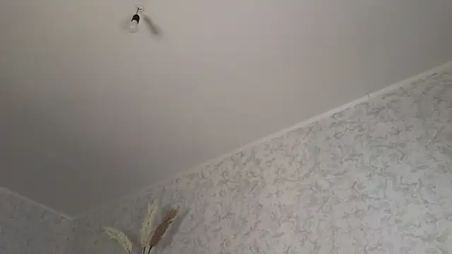 saya_li1's cam snapshot