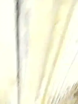 sexychd live sex cam