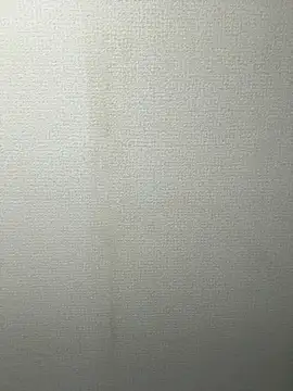 NeonShadow_1 live sex cam