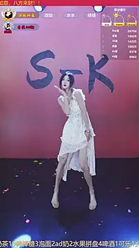 SK-001's cam snapshot