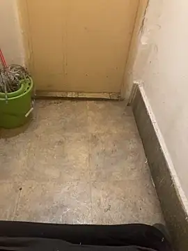 balint35 live sex cam