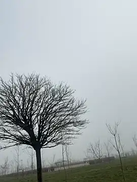 TARKAN1's cam snapshot