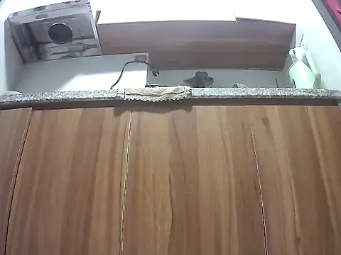 Storm-webester's cam snapshot