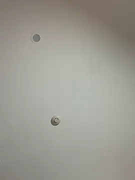 bambigirlxx's cam snapshot