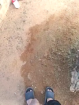 DickMasterfindom's cam snapshot