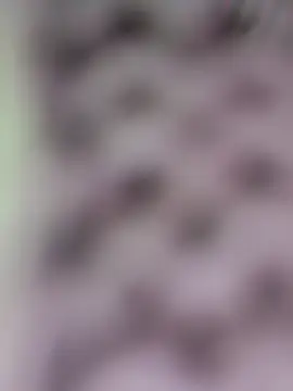 Hot-Sana2's cam snapshot