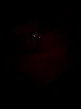 your-sameera's cam snapshot