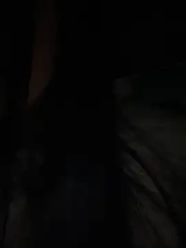 petoys's cam snapshot