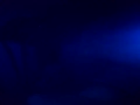 tokeNcum2pnp2's cam snapshot