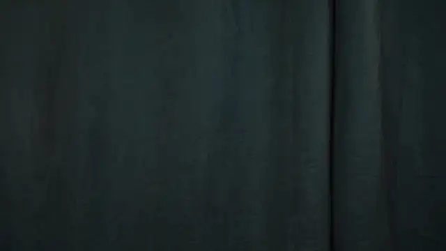 Silent_Emily's cam snapshot