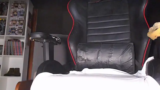 LapijARG7's cam snapshot