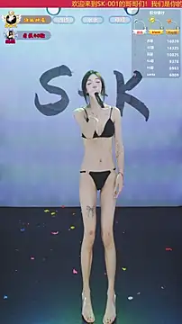 SK-001's cam snapshot