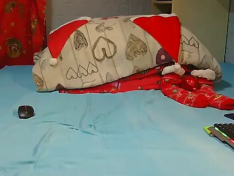 Pintiliescu's cam snapshot