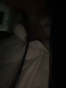 petoys's cam snapshot