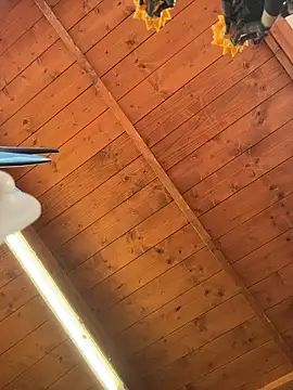 DaisyVibesss live sex cam