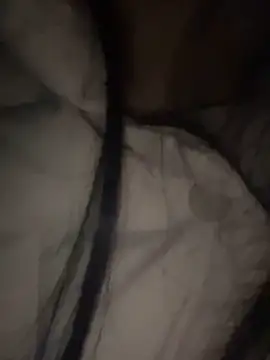 petoys's cam snapshot