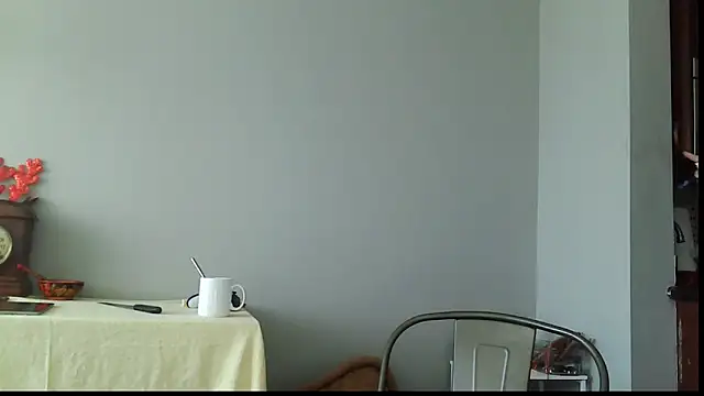 SexWorkerX live sex cam