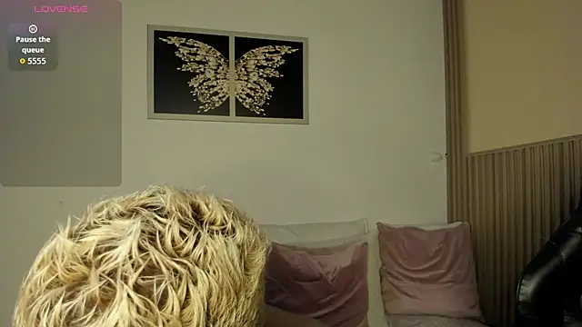 summer_night_'s cam snapshot