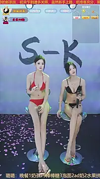 SK-001's cam snapshot