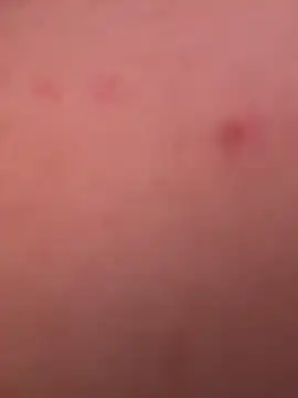 Eva_stark10 live sex cam