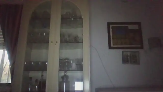 llopaco's cam snapshot