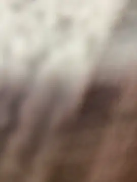 blissdimicco's cam snapshot