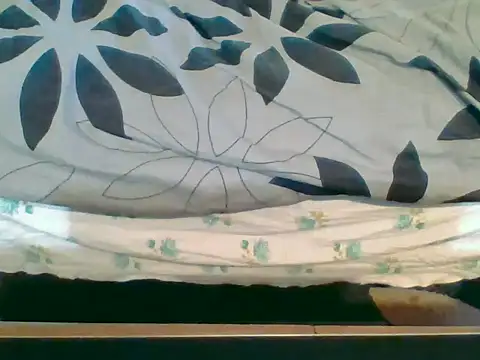 Tiger202441's cam snapshot