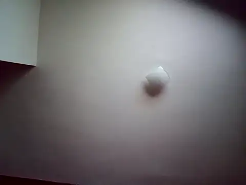 Al3vr's cam snapshot