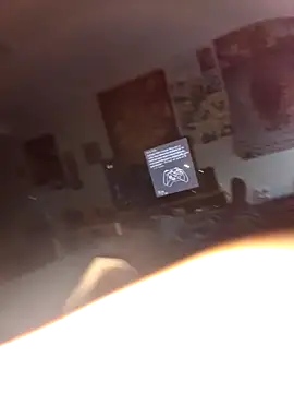 stev3w's cam snapshot