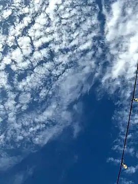 Big_German_cock974's cam snapshot