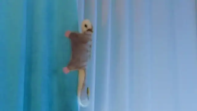 AngelicRice's cam snapshot