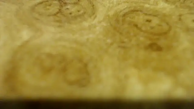 Adam4youu's cam snapshot