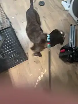 sexyhotstud12's cam snapshot