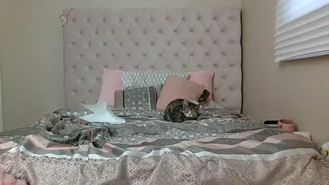 beautylovess's cam snapshot