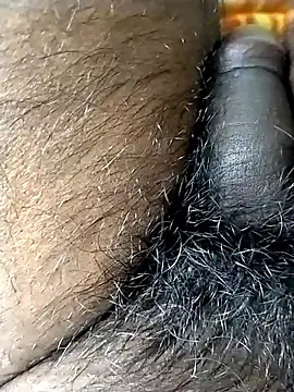 jellydicks live sex cam