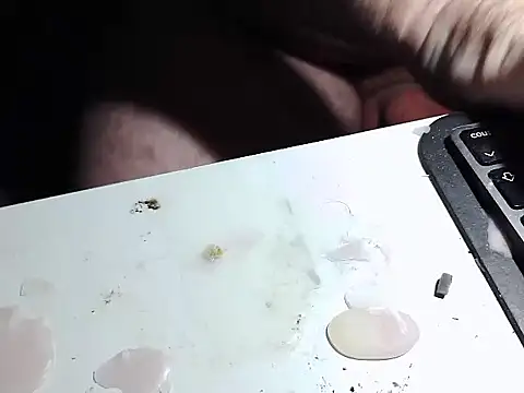 911rsrgelb's cam snapshot