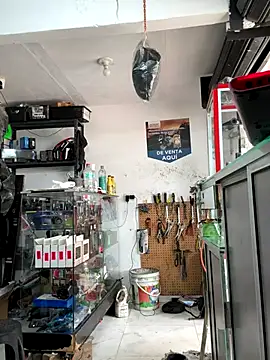 Paul22cm- live sex cam