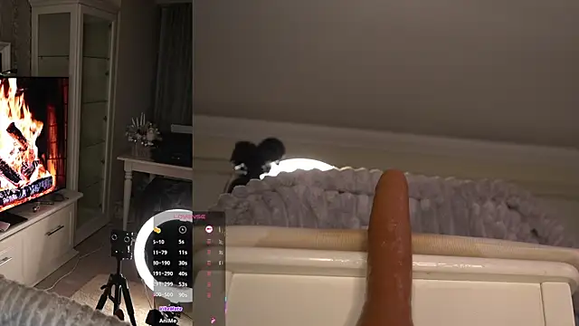 American__Dream live sex cam