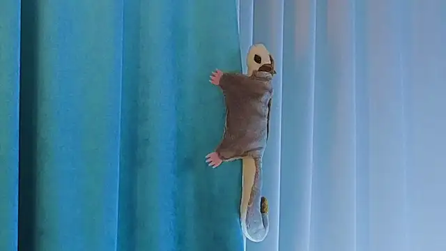 AngelicRice live sex cam