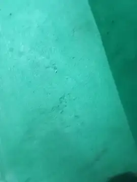 Juli_pande's cam snapshot