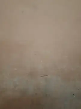 Rasili_bhabhi10's cam snapshot