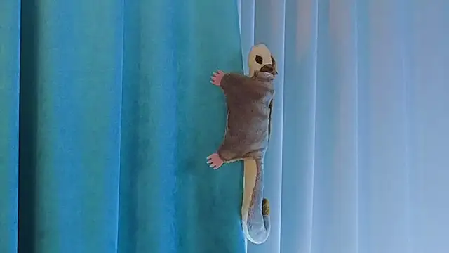 AngelicRice's cam snapshot